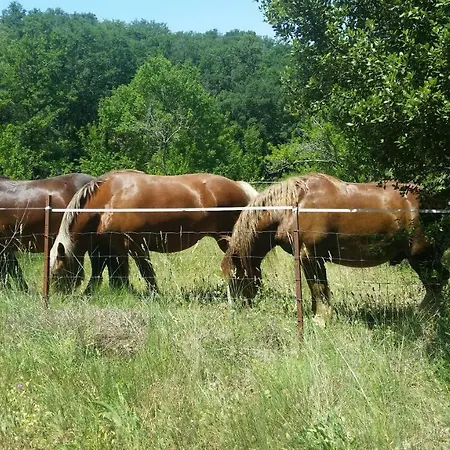 Casa vacanze Grès Vaillant Saint-Polycarpe