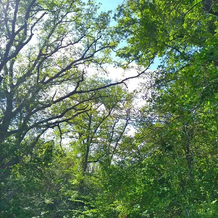 Casa vacanze Grès Vaillant