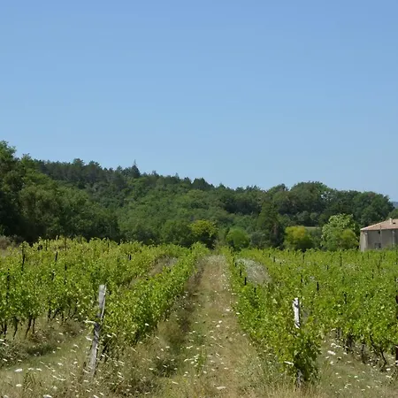 Grès Vaillant Saint-Polycarpe