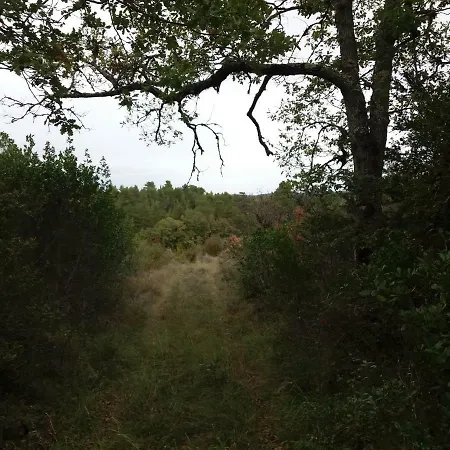 Casa vacanze Grès Vaillant Saint-Polycarpe