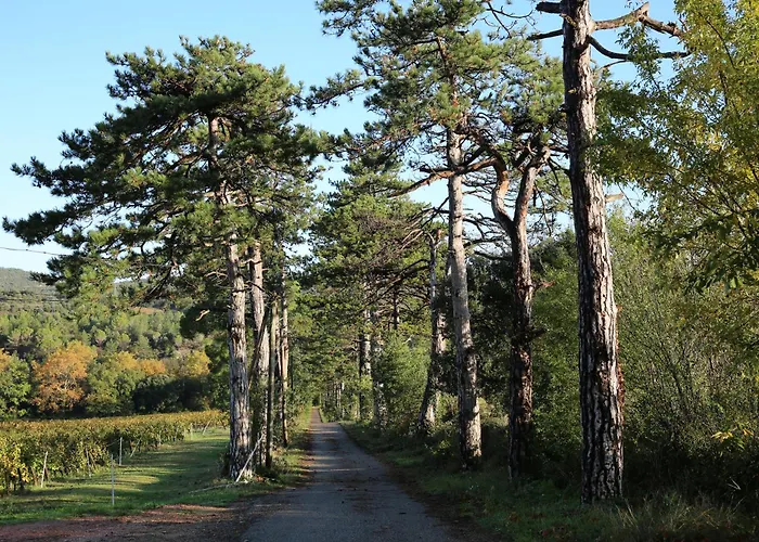 Gres Vaillant Saint-Polycarpe