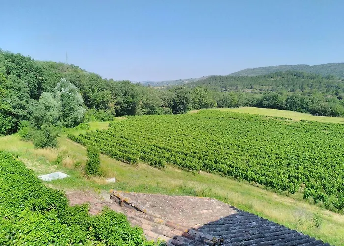 Gres Vaillant Saint-Polycarpe