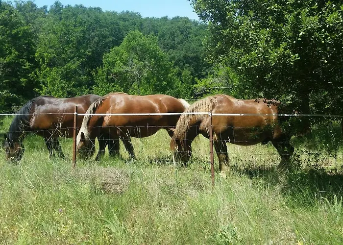 Ferienhaus Gres Vaillant Saint-Polycarpe
