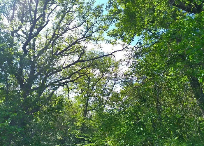 Ferienhaus Gres Vaillant