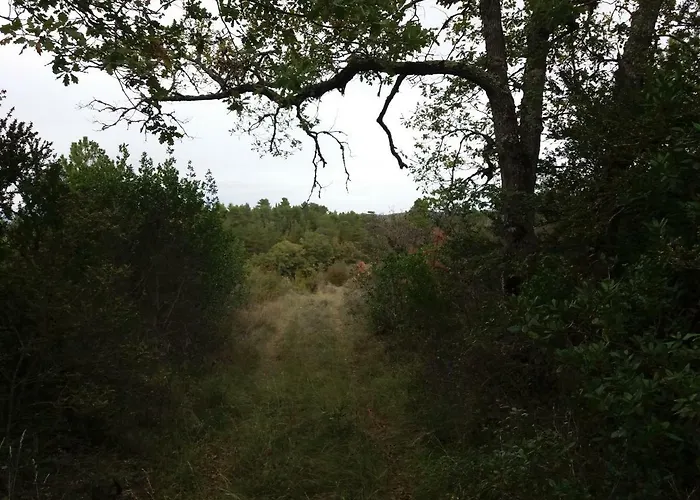 Ferienhaus Gres Vaillant Saint-Polycarpe